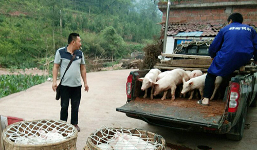 尊龙凯时人生就是博(中国区)官方网站