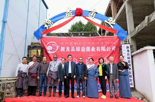 尊龙凯时人生就是博(中国区)官方网站