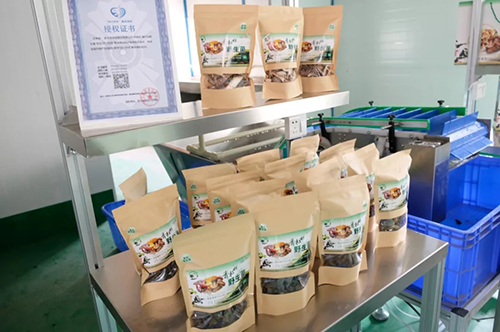 尊龙凯时人生就是博(中国区)官方网站