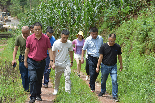 尊龙凯时人生就是博(中国区)官方网站
