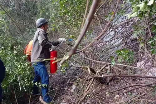 尊龙凯时人生就是博(中国区)官方网站