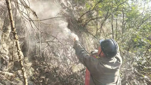 尊龙凯时人生就是博(中国区)官方网站