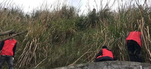 尊龙凯时人生就是博(中国区)官方网站