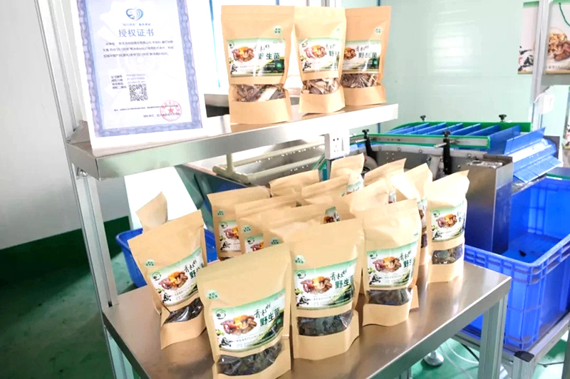 尊龙凯时人生就是博(中国区)官方网站