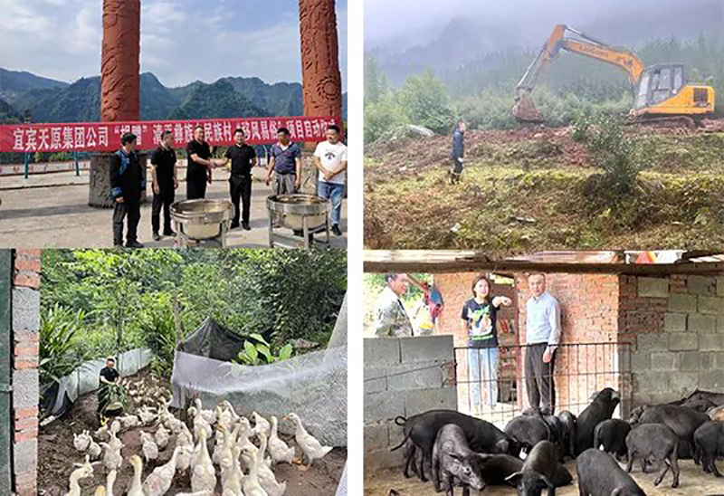 尊龙凯时人生就是博(中国区)官方网站