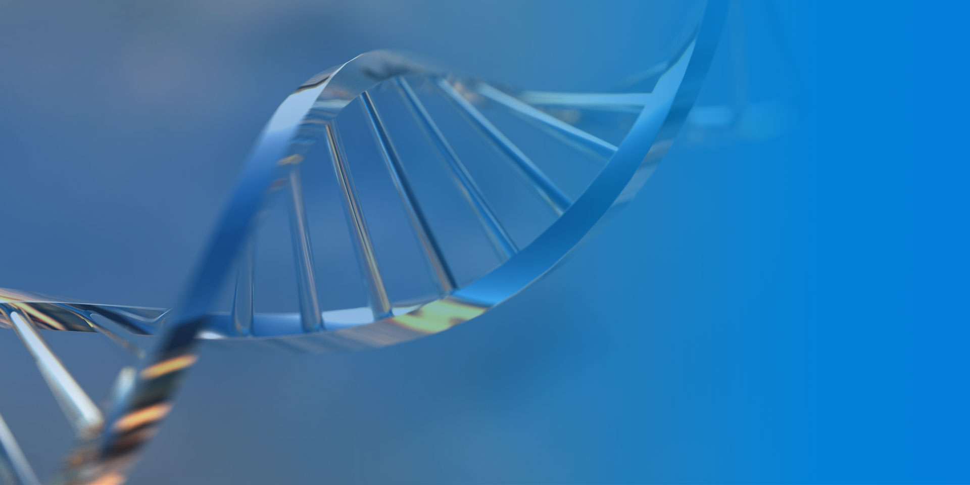 尊龙凯时人生就是博(中国区)官方网站